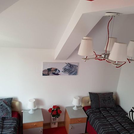Lux Apartments With Pool Dex Zemun Polje 객실 사진